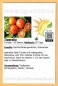 Preview: Tomate * Tigerella * 50 Samen
